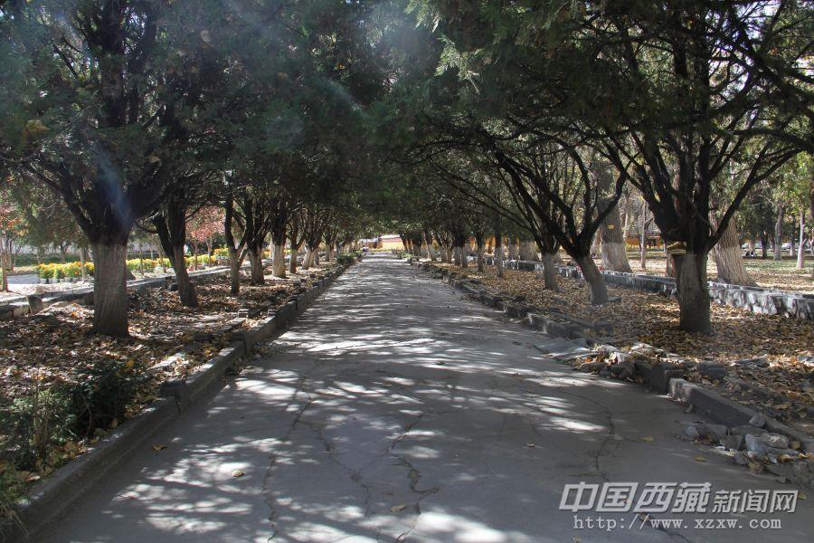 走進(jìn)羅布林卡，高大茂盛的樹(shù)木映入眼簾，陽(yáng)光穿過(guò)濃密的枝葉，鋪灑在滿(mǎn)是枯葉的石板路上，使得整個(gè)園林顯得靜怡而深邃。感覺(jué)置身于世外桃源一般。