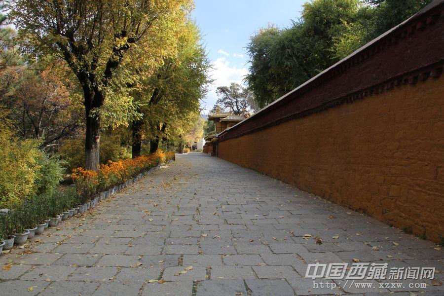 時(shí)間讓青石板地面顯得古老，歷史讓高墻充滿(mǎn)厚重。 從這片園林建筑往東門(mén)方向，快到出口處的醒目建筑是“康松司倫”。