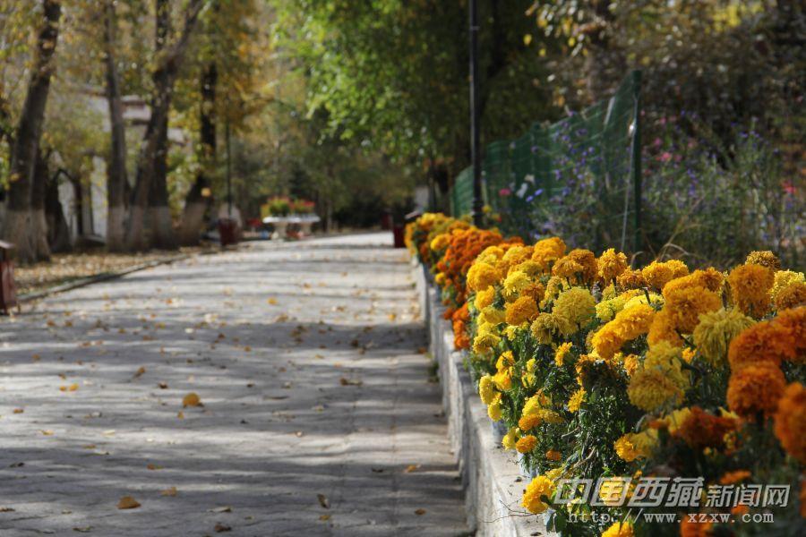 漫步在羅布林卡里幽靜的花間小道上，仿佛步入仙境，令人心曠神怡。羅布林卡——美麗的“寶貝園林”像是一座歷史博物館，向世人展示著雪域高原獨(dú)有的自然、歷史、文化等風(fēng)貌。是人類(lèi)文化史上最寶貴的歷史文化遺產(chǎn)。