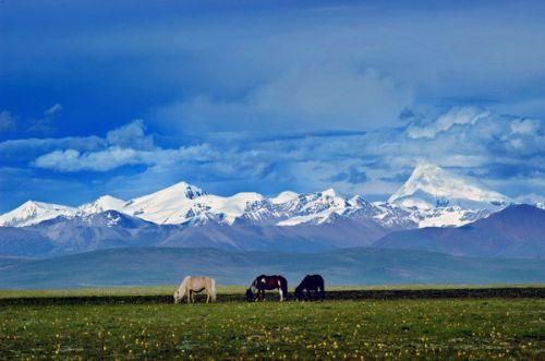 從遠(yuǎn)處眺望念青唐古拉山。（圖片來源于網(wǎng)絡(luò)）