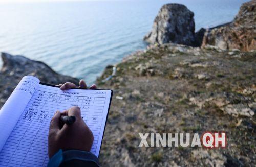 青海湖國(guó)家級(jí)自然保護(hù)區(qū)管理局工作人員在記錄鳥類觀測(cè)數(shù)據(jù)。新華社　張宏祥　攝