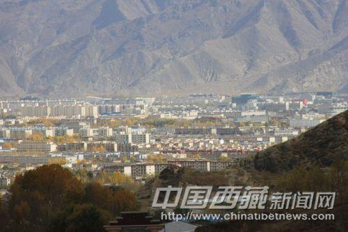 從娘熱溝高處的空地上眺望，遠(yuǎn)處成片金黃的樹林分布在城區(qū)的每個(gè)角落。