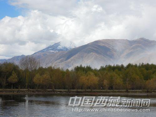 小樹林和群山襯托了池塘的美麗。