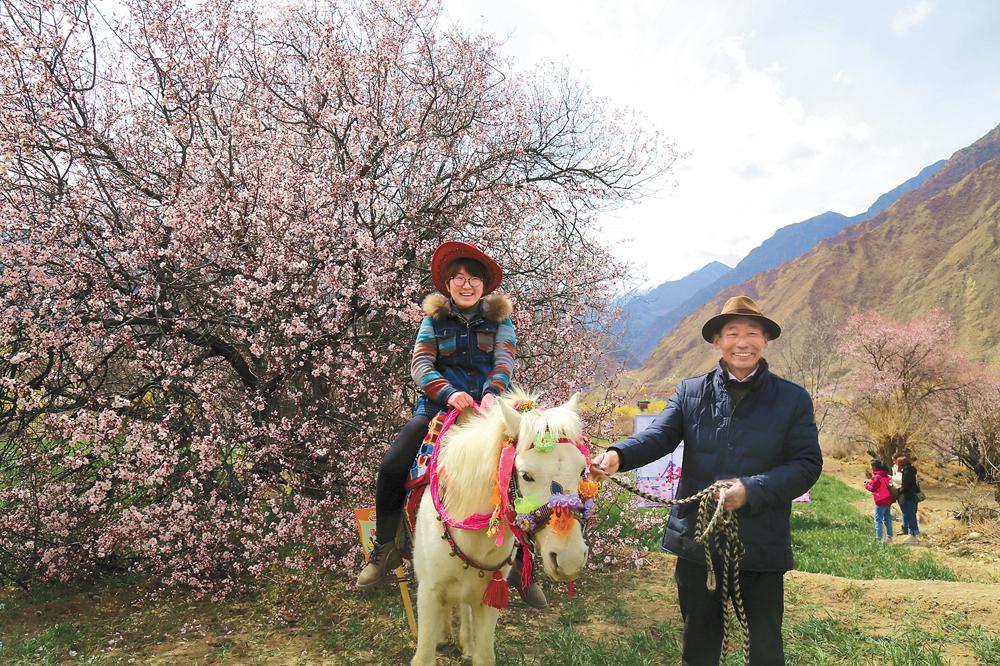 圖為林芝桃花旅游文化節(jié)期間游客在桃花村下騎馬賞花。記者 史金茹 潘璐 攝