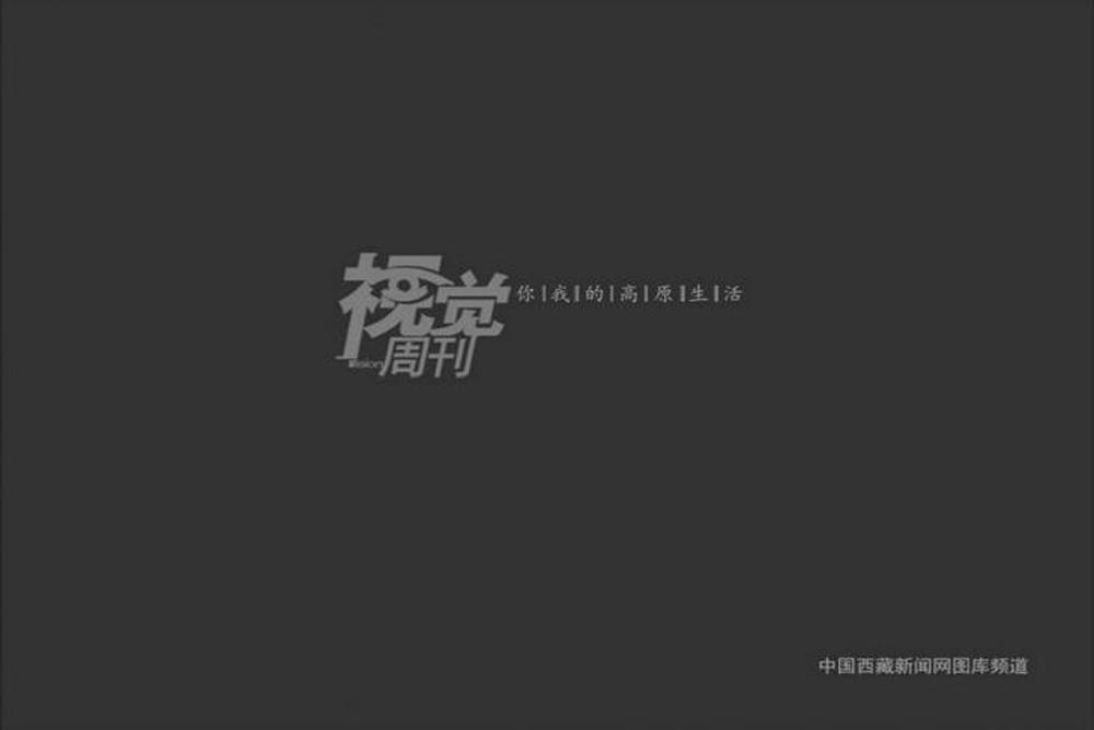 （圖片由 次旺 李洲 洛桑  唐斌 潘多  旦增  攝）