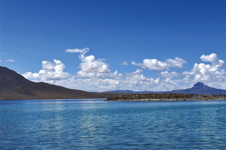 錯(cuò)鄂鳥島位于那曲市申扎縣境內(nèi)，是羌塘自然保護(hù)區(qū)的一部分。湖內(nèi)水草茂盛，魚類資源豐富，是黑頸鶴的棲息地。近年來，羌塘自然保護(hù)區(qū)加大保護(hù)力度，管護(hù)體系進(jìn)一步完善，錯(cuò)鄂鳥島成為鳥的天堂，最多的時(shí)候有各種鳥類三四萬只棲息于此。圖為錯(cuò)鄂鳥島。那曲蹲點(diǎn)報(bào)道組 攝