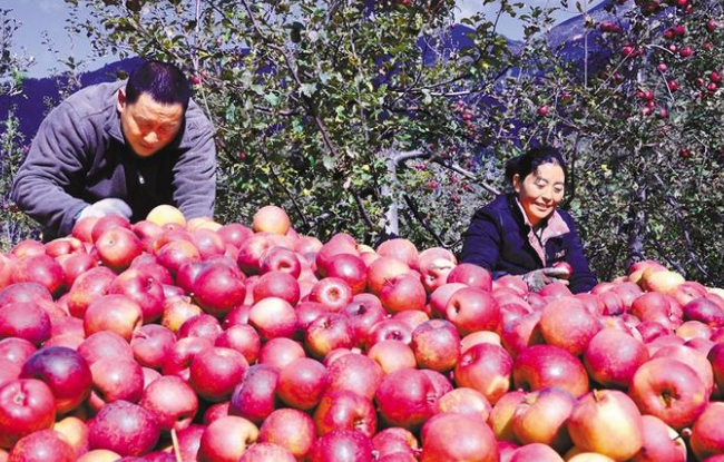 QQ截圖20201214161121.png