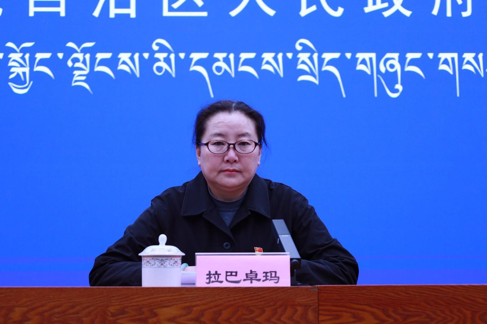 新聞發(fā)言人：自治區(qū)婦聯(lián)二級(jí)巡視員拉巴卓瑪.jpg