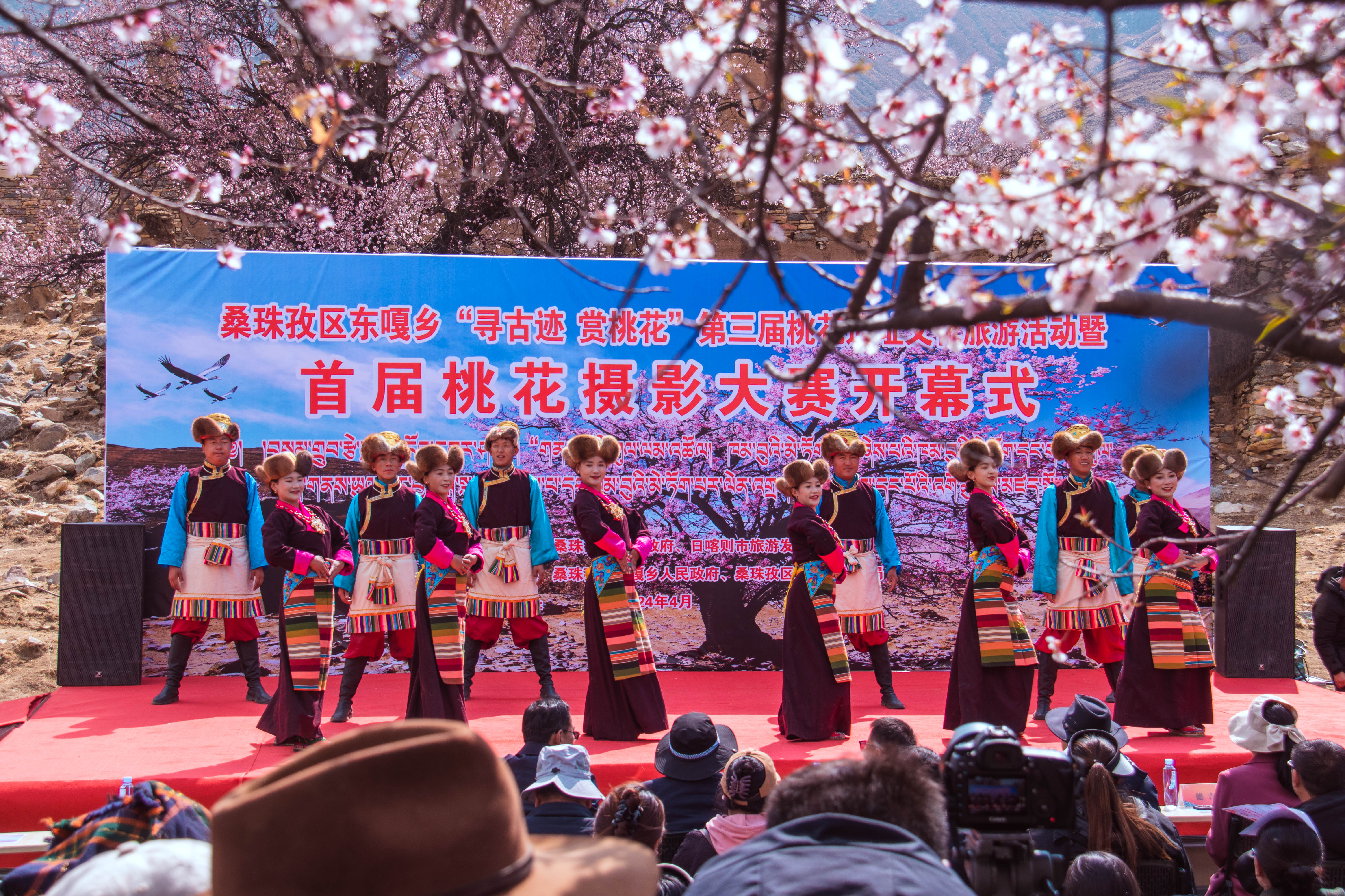 圖為演職人員在桃花樹(shù)下翩翩起舞。記者 扎西頓珠 旦增嘎瓦 攝