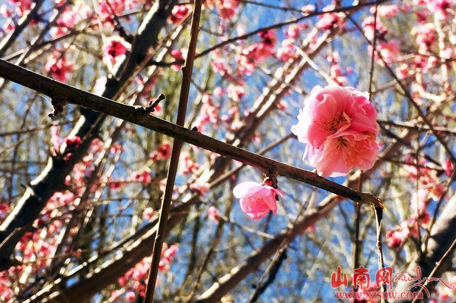 點(diǎn)擊進(jìn)入下一頁